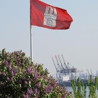 3055_3089 Hamburg Flagge im Wind - blühender Flieder im Vorgarten Hamburg Oevelgoenne. | 